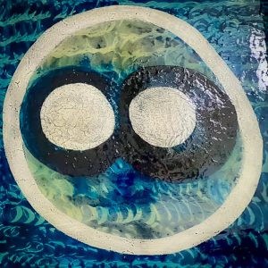Read more about the article The Eclecticism of the Bubblies – A Universe Without Limits